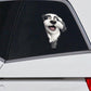 English Sheep Dog - Peekaboo Dog Head Car Sticker - DS003