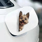 Cairn Terrier Dog - Peekaboo Dog Head Car Sticker - DS004
