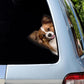 Papillon Dog - Peekaboo Dog Head Car Sticker - DS012
