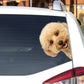 Maltipoo Dog - Peekaboo Dog Head Car Sticker - DS013