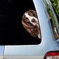 English Springer Spaniel Dog - Peekaboo Dog Head Car Sticker - DS015