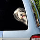 Bearded Collie Dog - Peekaboo Dog Head Car Sticker - DS022