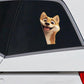 Shiba Inu Dog - Peekaboo Dog Head Car Sticker - DS031