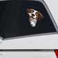 Saint Bernard Dog - Peekaboo Dog Head Car Sticker - DS032