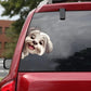Havanese Dog - Peekaboo Dog Head Car Sticker - DS037