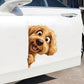 Goldendoodle Dog - Peekaboo Dog Head Car Sticker - DS040