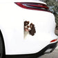 English Springer Spaniel Dog - Peekaboo Dog Head Car Sticker - DS041