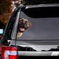 English Mastiff Dog - Peekaboo Dog Head Car Sticker - DS043
