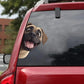 English Mastiff Dog - Peekaboo Dog Head Car Sticker - DS043