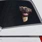 English Mastiff Dog - Peekaboo Dog Head Car Sticker - DS043