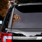 Chesapeake Bay Retriever Dog - Peekaboo Dog Head Car Sticker - DS044