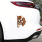 Cavalier King Charles Spaniel Dog - Peekaboo Dog Head Car Sticker - DS045