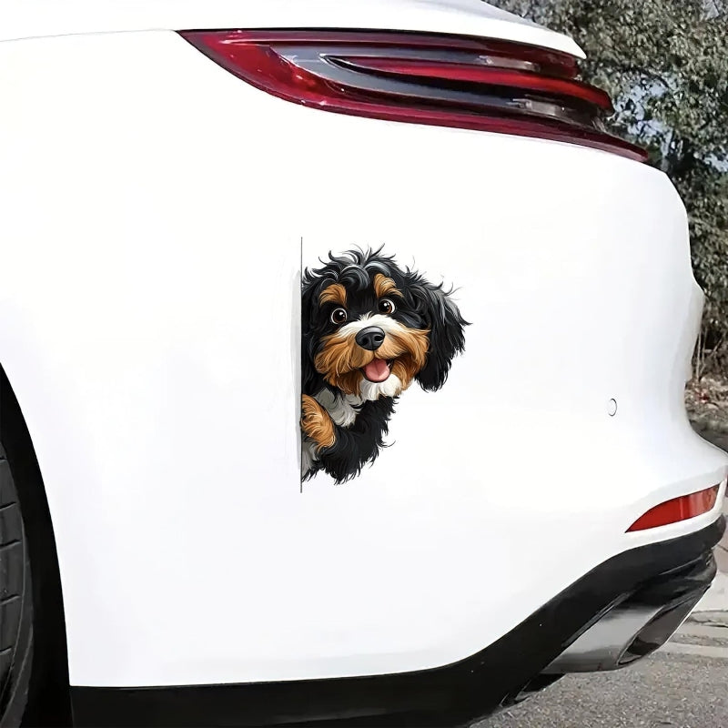 Bernedoodle Dog - Peekaboo Dog Head Car Sticker - DS047