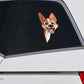 Basenji Dog - Peekaboo Dog Head Car Sticker - DS049