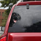Black Labrador Dog - Peekaboo Dog Head Car Sticker - DS053