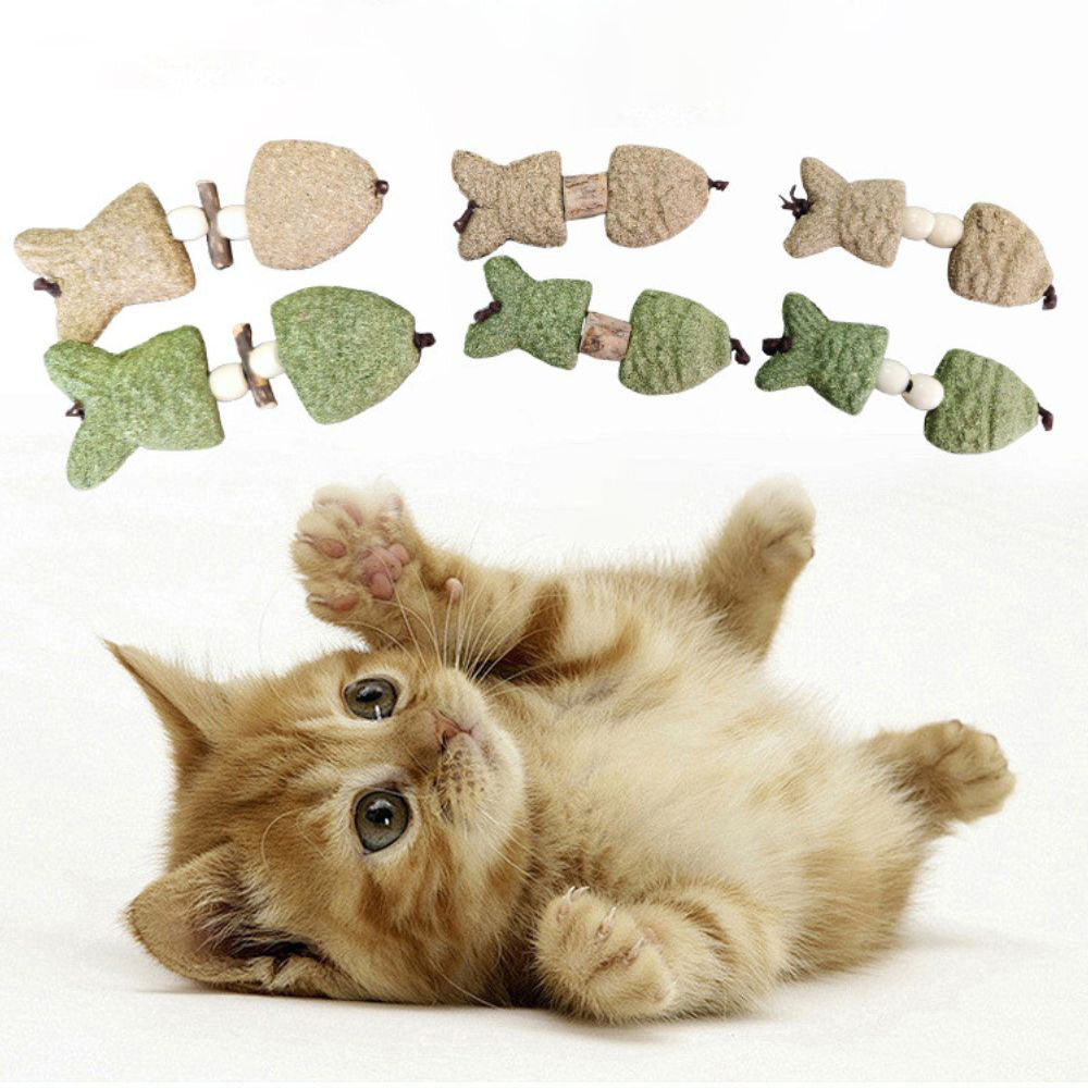 Natural Gallnut Catnip Chew Toy For Cats – Dental & Enrichment Play