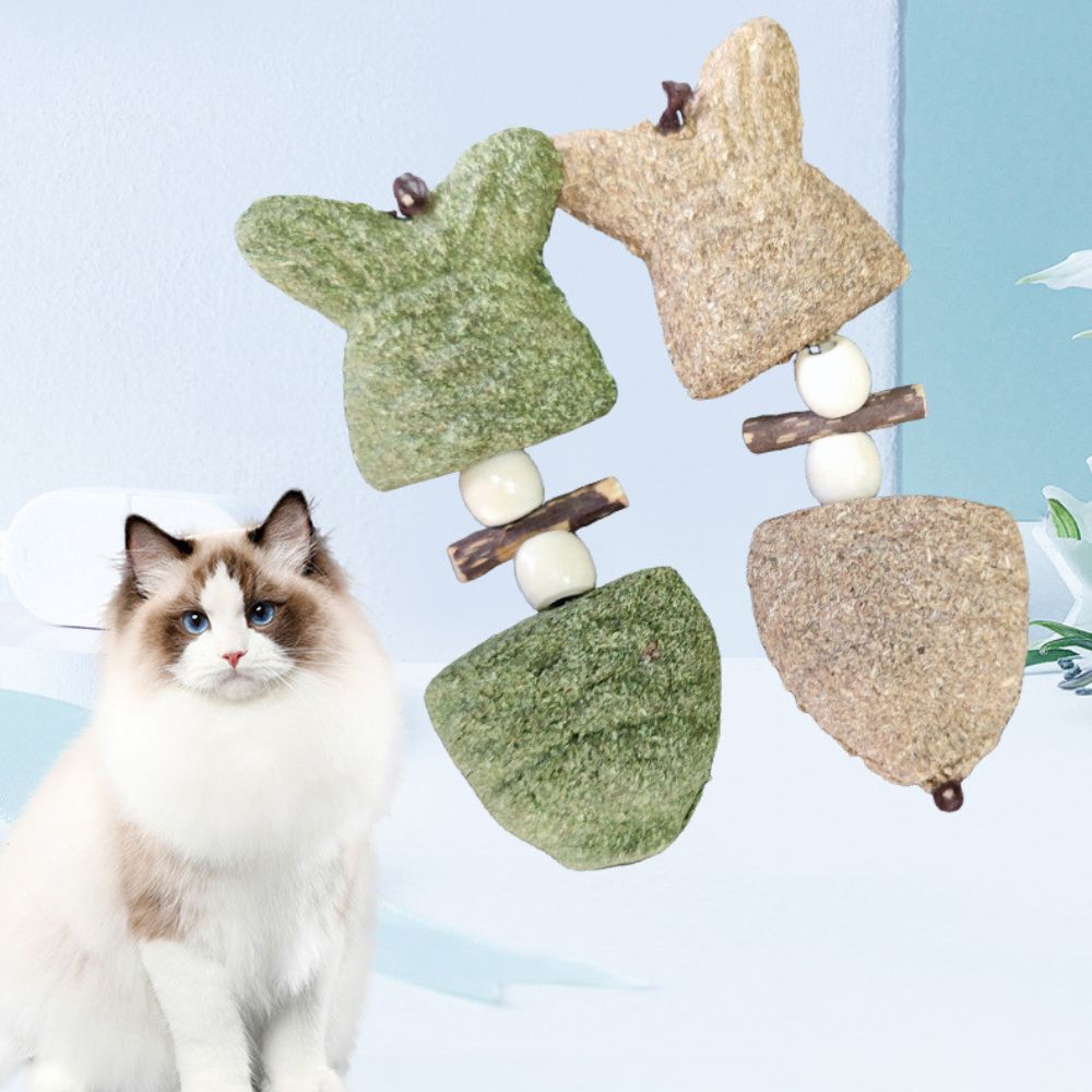 Natural Gallnut Catnip Chew Toy For Cats – Dental & Enrichment Play