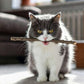 Silvervine Cat Chew Sticks – Natural Dental Toy For Cats