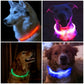 USB Rechargeable Fiber Optic LED Pet Collar
