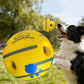 Dog Treat Dispenser Ball – Interactive Squeaky Training Toy