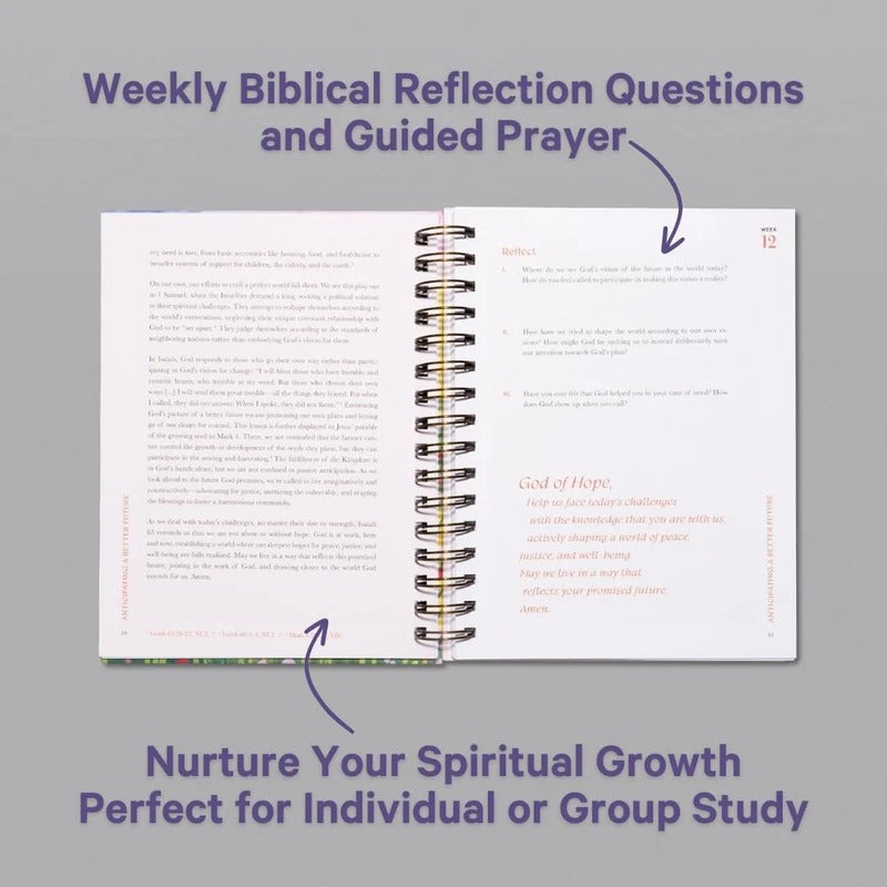 A Beautiful Year in the Bible Study
