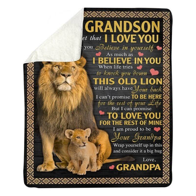 I Love You - A387 - Lion Premium Blanket