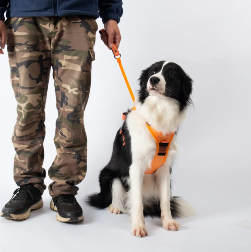 DoggyKings™ 3 in 1 Dog Harness with Built-In Leash
