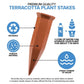 Ceramic Terracotta Self Watering Spikes – Automatic Plant Watering System for Indoor & Outdoor Plants