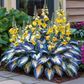 Hosta Seeds Perennial Shade Plant for Garden