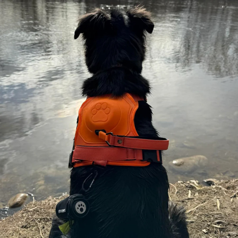 DoggyKings™ 3 in 1 Dog Harness with Built-In Leash
