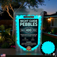 Colorful Glow-in-the-Dark Garden Stones
