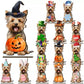 Interchangeable animal desk sign with Halloween magnetic accessories