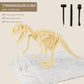 Dinosaur Fossil Digging Kit