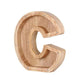 Wooden Letter Piggy Bank