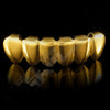 GOLD PLATED 6 TOOTH PREMIUM GRILLS