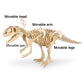 Dinosaur Fossil Digging Kit