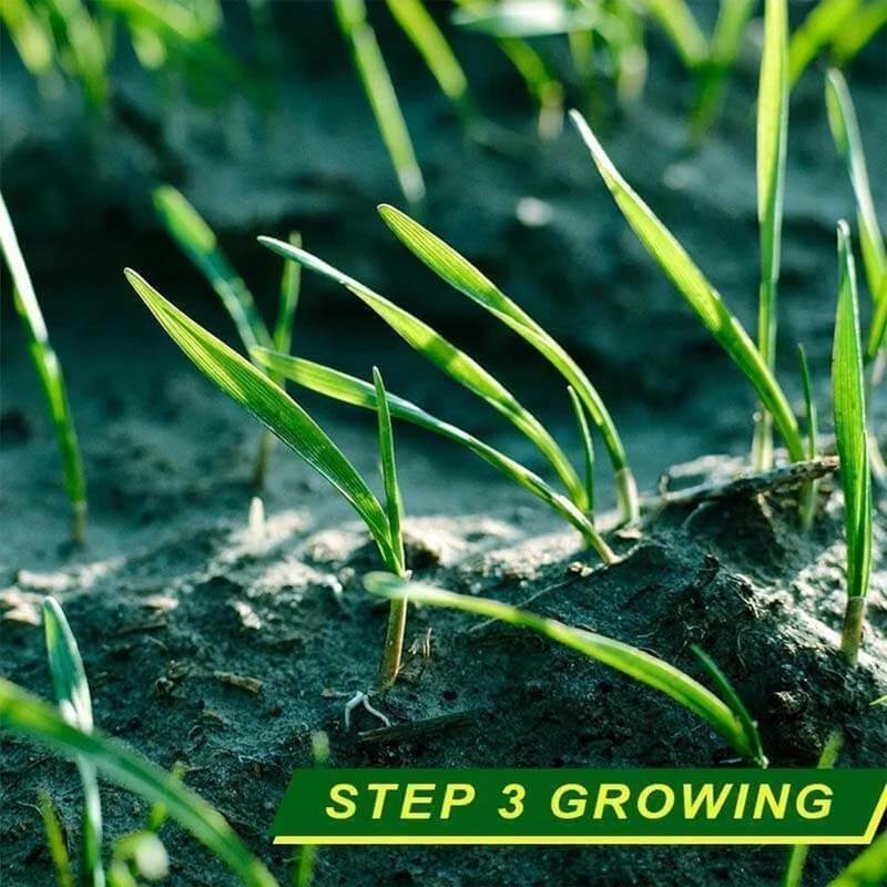 Grass Seed Mat: The Perfect Solution For Your Lawn Problems -Without Seed