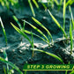 Grass Seed Mat: The Perfect Solution For Your Lawn Problems -Without Seed