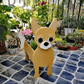 Dog Planter