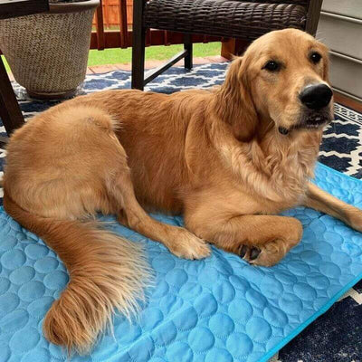 Cooling Summer Pet Mat