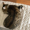 Cooling Summer Pet Mat