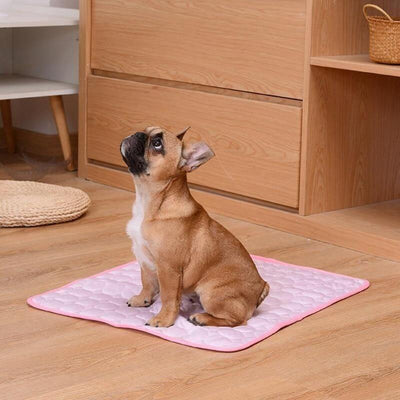 Cooling Summer Pet Mat