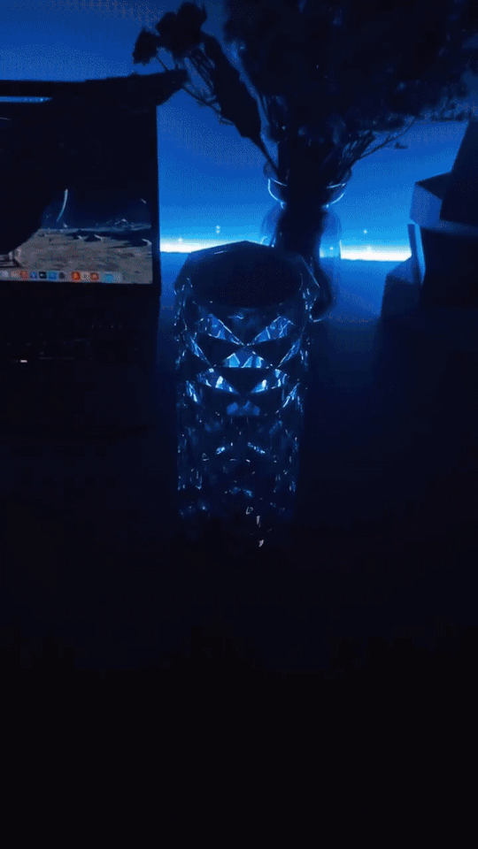 HOTTEST SELLING Crystal Color Changing Touch Control + Remote Control Lamp YTM3