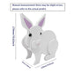 Rabbit Planter AP112